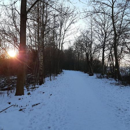 Vakantiehuis Aan Het Bos - Gelegen Aan De Tulpenroute Bant Exteriör bild