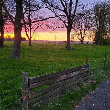 Vakantiehuis Aan Het Bos - Gelegen Aan De Tulpenroute Bant Exteriör bild